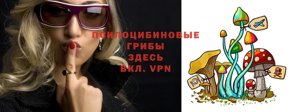 дмт Белокуриха