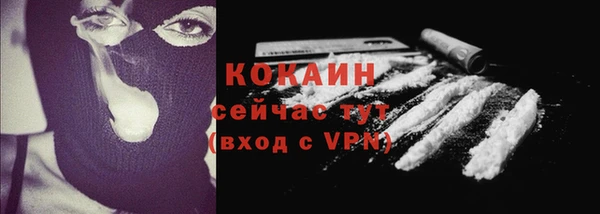 дмт Белокуриха
