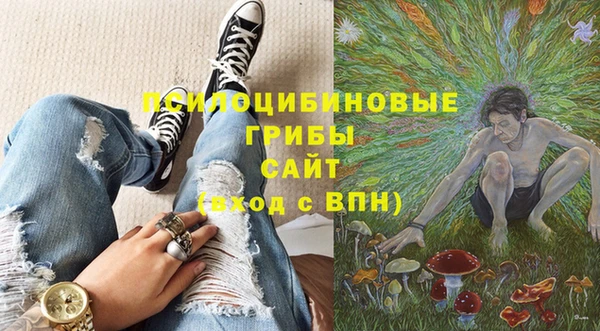 дмт Белокуриха