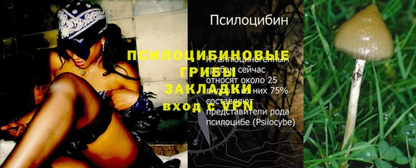 дмт Белокуриха