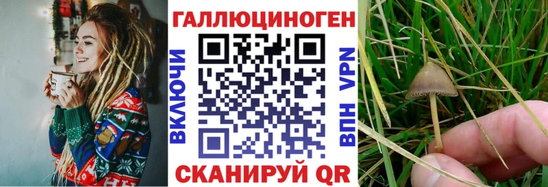 Галлюциногенные грибы MAGIC MUSHROOMS  купить наркотики цена  Воркута 